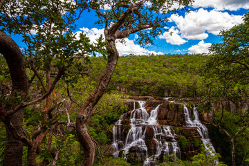 Fototapeta na wymiar trees in the forest in front of Almecegas cascade, Chapada dos Veadeiros, Brazil