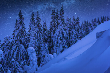 Fairytale carpathian frozen highlands - 527393950