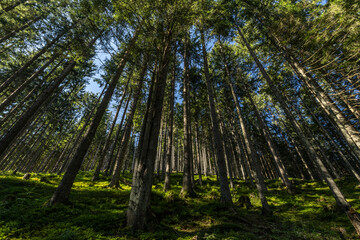 Schmittenhohe, Austria, August 2022, View of the summit of the Schmittenhohe mountain