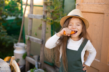 Vegetable garden. A funny little girl farmer bites a carrot. A baby tooth fell out. Lifestyle. Space for text