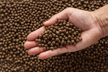 Animal feed mixed from finely ground protein powders of both plants and animals is pelleted to be...