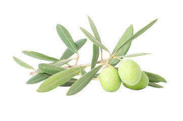 Green olives with leaves isolated on a transparent white background