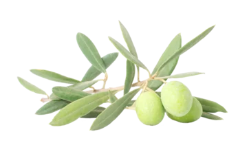 Foto op Plexiglas Green olives with leaves isolated on a transparent white background © Berit Kessler