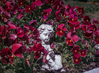 a little white angel among the burgundy flowers. white statuette