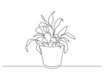 Continuous one line drawing. House plant in pot. Vector illustration