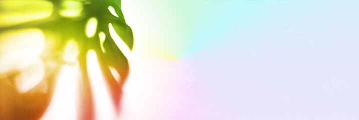 Banner. The shadow of a tropical monstera leaf is painted in a rainbow color on a rainbow fabric background. With a space to copy. A template for your product. High quality photo