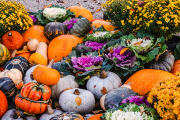View of outdoor Thanksgiving arrangement with pumpkins, gourds, flowers and decorative cabbage 