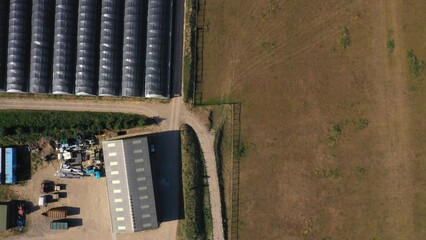 Top Down Aerial View of Green and Yellow Wheat Field Farm and Greenhouses. Golden Crops During Pasture Aerial View. Agricultural Work in Summer During Drought. Grain Crisis. Nature, Harvesting, Eco