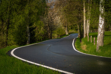 Morning on wet black road after rain near Nejdek town in north Bohemia