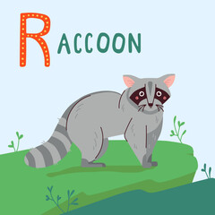 Raccoon flat vector illustrationon on green grass. Cute raccoon animal. Forest wild inhabitant with grey fur.