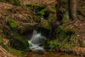 Small creek near Bernov village before confluence with Nejdecky creek
