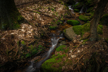 Small creek near Bernov village before confluence with Nejdecky creek