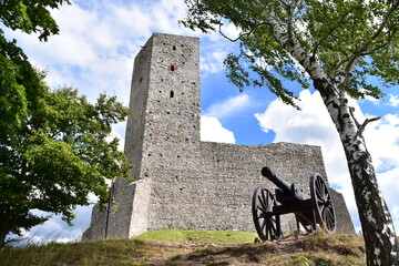 Zamek, Krolewski, w, Checinach, wieza, architektura, budowa,  © Albin Marciniak