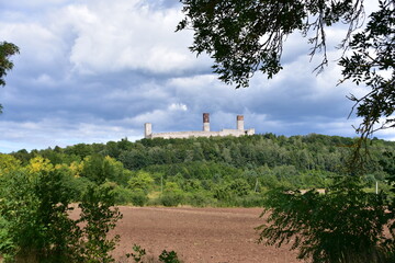 Zamek, Krolewski, w, Checinach, wieza, architektura, budowa,  © Albin Marciniak
