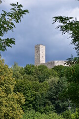 Zamek, Krolewski, w, Checinach, wieza, architektura,  © Albin Marciniak