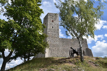 Zamek, Krolewski, w, Checinach, wieza, architektura,  © Albin Marciniak
