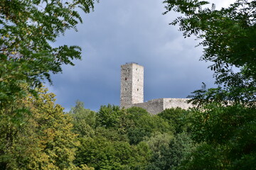 Zamek, Krolewski, w, Checinach, wieza, architektura,  © Albin Marciniak