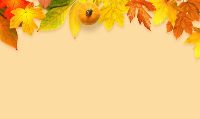 Isolated autumn leaves on yellow background. Fall concept.