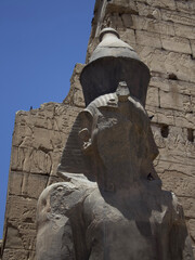 Statue of the pharaoh 