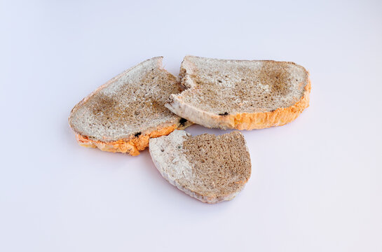 Stale, moldy pieces of stale bread. Mold on sliced bread with