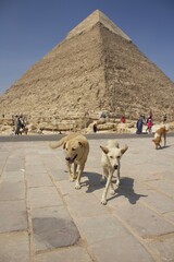 pyramids of giza