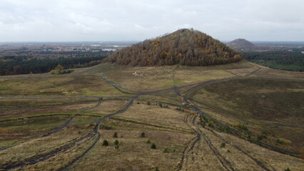 Aerial drone shot  of the national park hoge kempen in Limburg Belgium