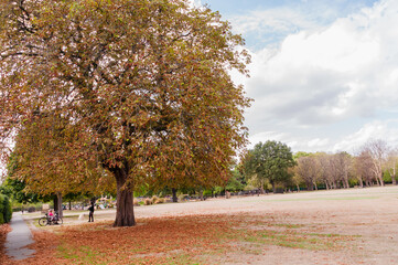 Fototapeta premium LONDON, ENGLAND - AUGUST 30, 2022: West Ham Park , London, Grass looking like straw due to the current summer heatwave 