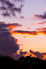 Gorgeous partially cloudy sunset over the treetops