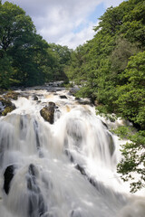 waterfall in the forest