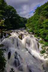 waterfall in the forest