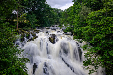 waterfall in the forest