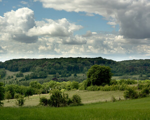 Fototapeta na wymiar Rolling countryside with trees, forest and fields under blue cloudy sky.