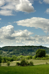 Fototapeta na wymiar Rolling countryside with trees, forest and fields under blue cloudy sky.