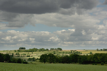 Fototapeta na wymiar Rolling countryside with farmland and trees under a cloudy sky.