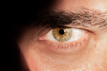 Closeup de um olho claro de homem branco do Brasil