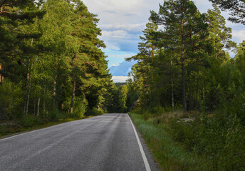 Obraz premium Country road through forest