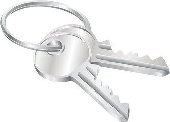 Two keys on a keyring illustration