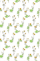 Floral pattern with buttercup. Seamless vector pattern o white background.