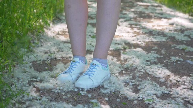 Women's feet in white sneakers trample on poplar fluff