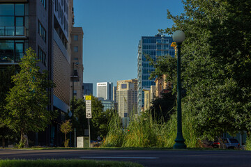 View of a City Street in Downtown Denver