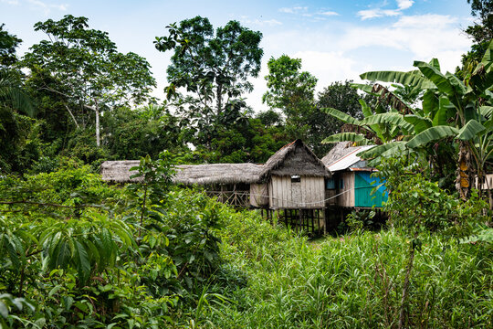 Buildings on stilts in the Amazon rainforest jungle in Peru.
