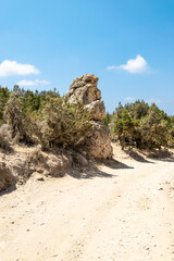 Road to the Blue Lagoon. Trees and rocks along a sandy road. Akamas Peninsula, Cyprus.