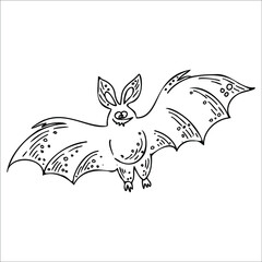 Cartoon Bat Line Art.Vector illustration. Can be used for Helloween.