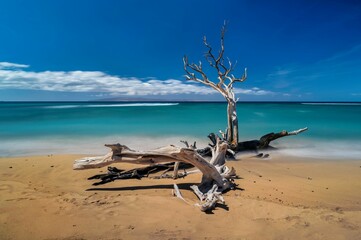 Scenic view of a beach on Maui island and the pacific ocean on a sunny day, Hawaii