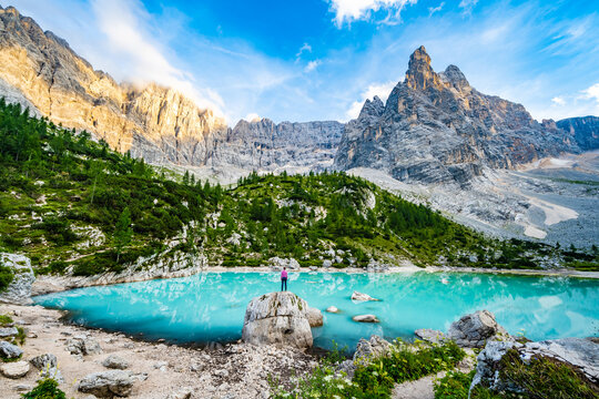 Dito Bilder Durchsuchen 6,141 Archivfotos, und Videos