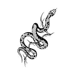 Fototapeta premium vector illustration of snake with barbed wire