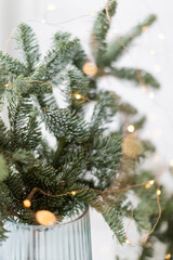 Christmas spruce branches with lights