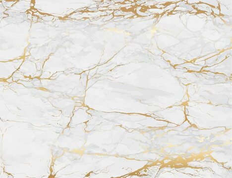 uxury White Marble texture background vector