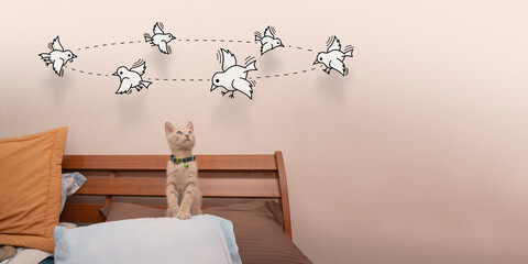 Little baby kitten standing on the bed pillow looking up looking at little birds drawn in black line