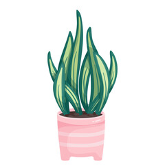 Colorful succulent in a ceramic pot. Cartoon vector graphics.